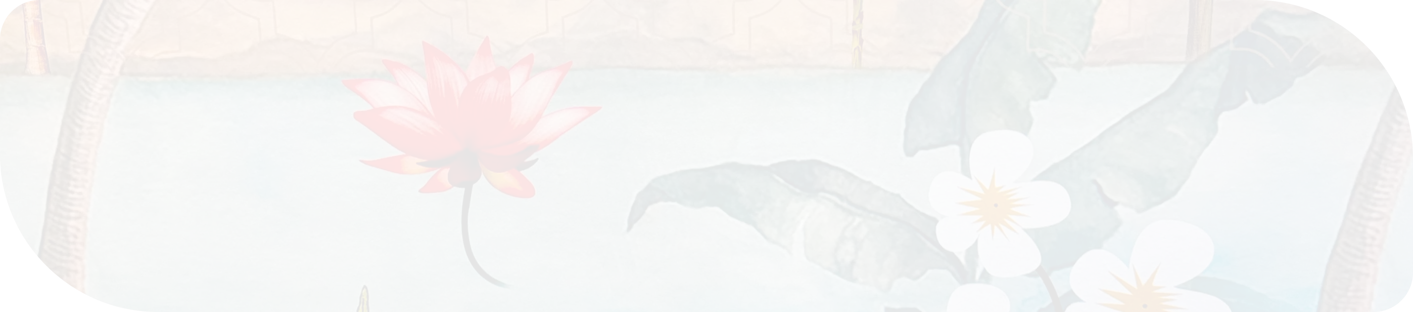 Event NKB Divine Meditation