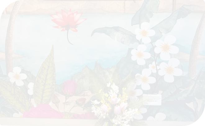 Experience Meditation